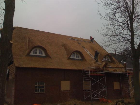 Réparation et rénovation des toits de chaume 