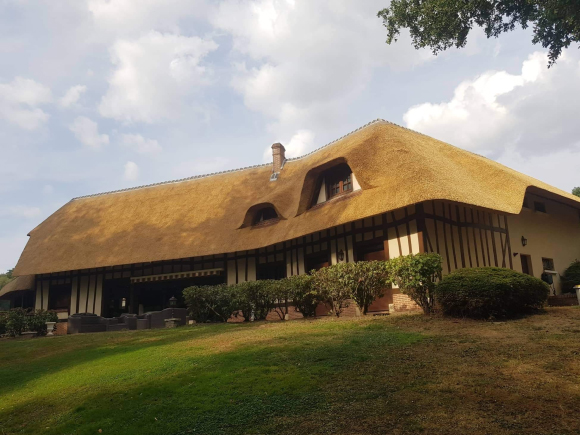 Thatched roof, Renovation, Repair