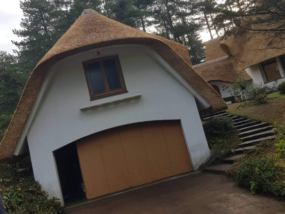 Thatched roof, Renovation, Repair