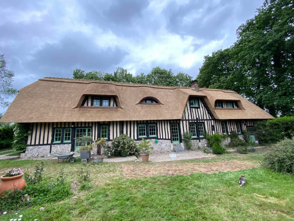 Thatched roof, Renovation, Repair