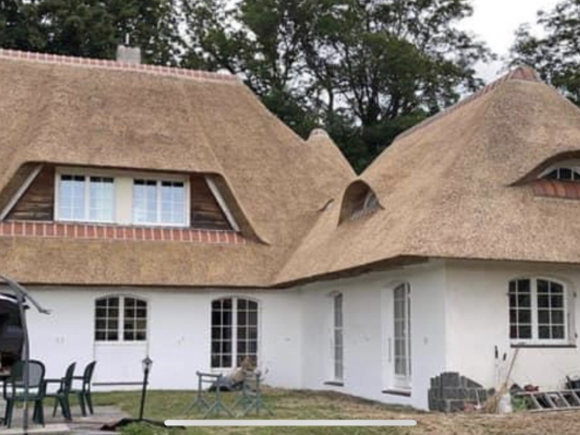 Thatched roof, Renovation, Repair