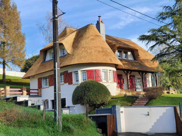 Thatched roof, Renovation, Repair