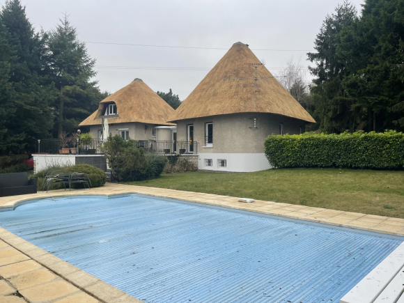 Thatched roof, Renovation, Repair