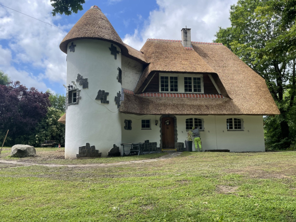 Thatched roof, Renovation, Repair