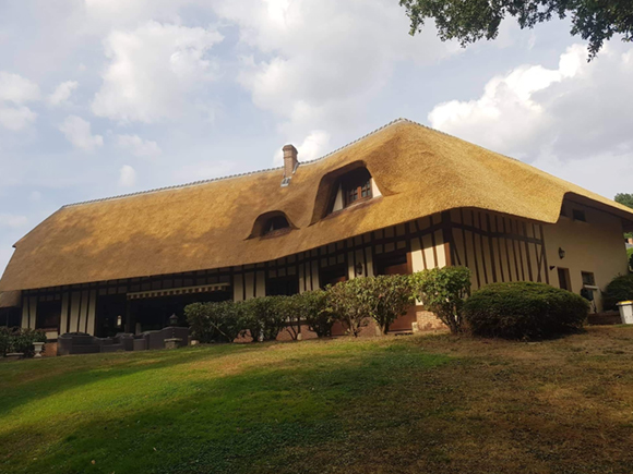 Thatched roof, Renovation, Repair