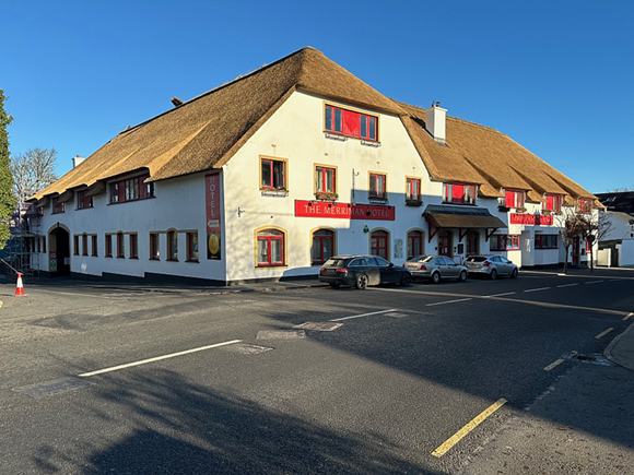 Thatched roof, Renovation, Repair