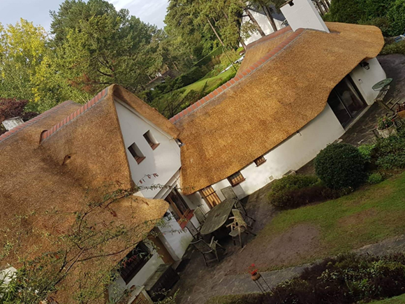 Thatched roof, Renovation, Repair